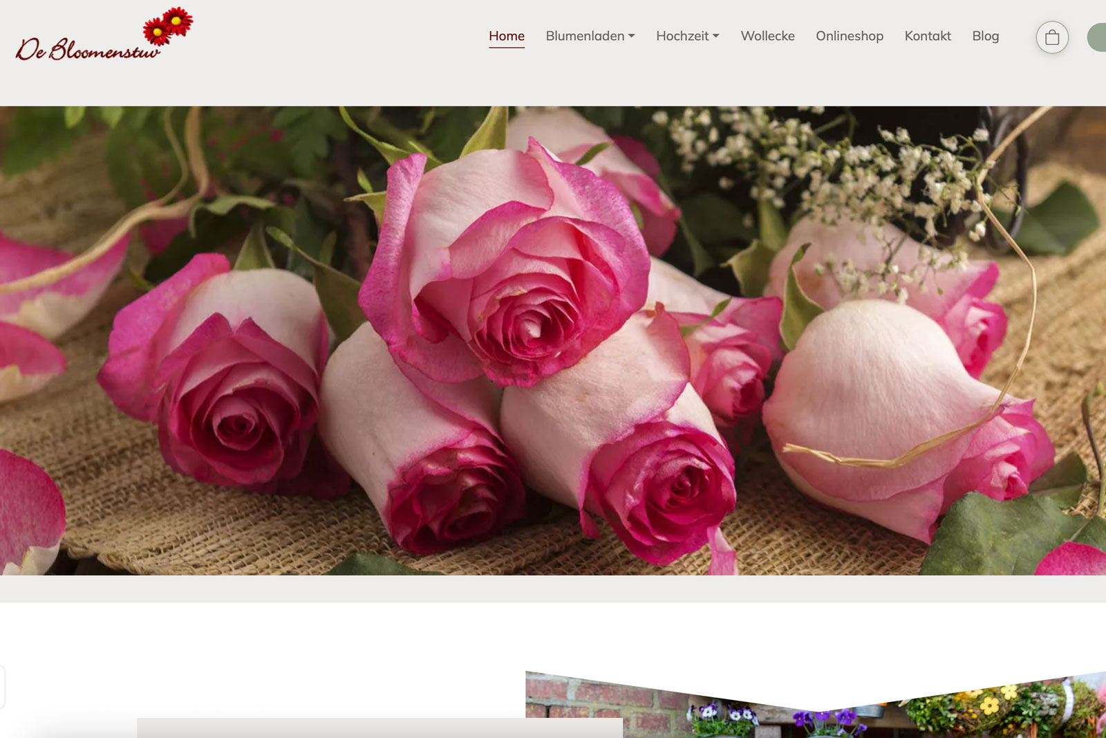 website-relaunch-erfolgreich-mit-onlineshop-abgeschlossen